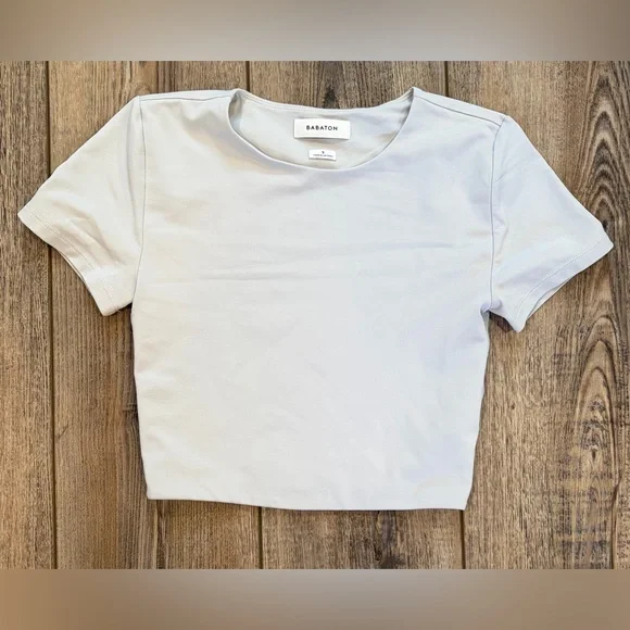 Babaton Aritzia Grey Cropped Short Sleeve Top Stretch Nylon Size S Minimalist - Picture 2 of 7